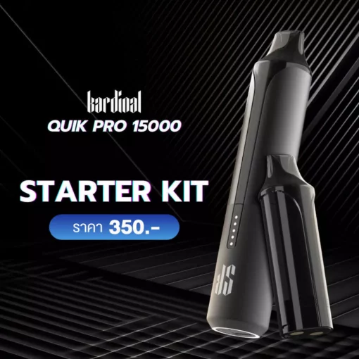 Ks Quik Pro 15k Puff Starter Kit